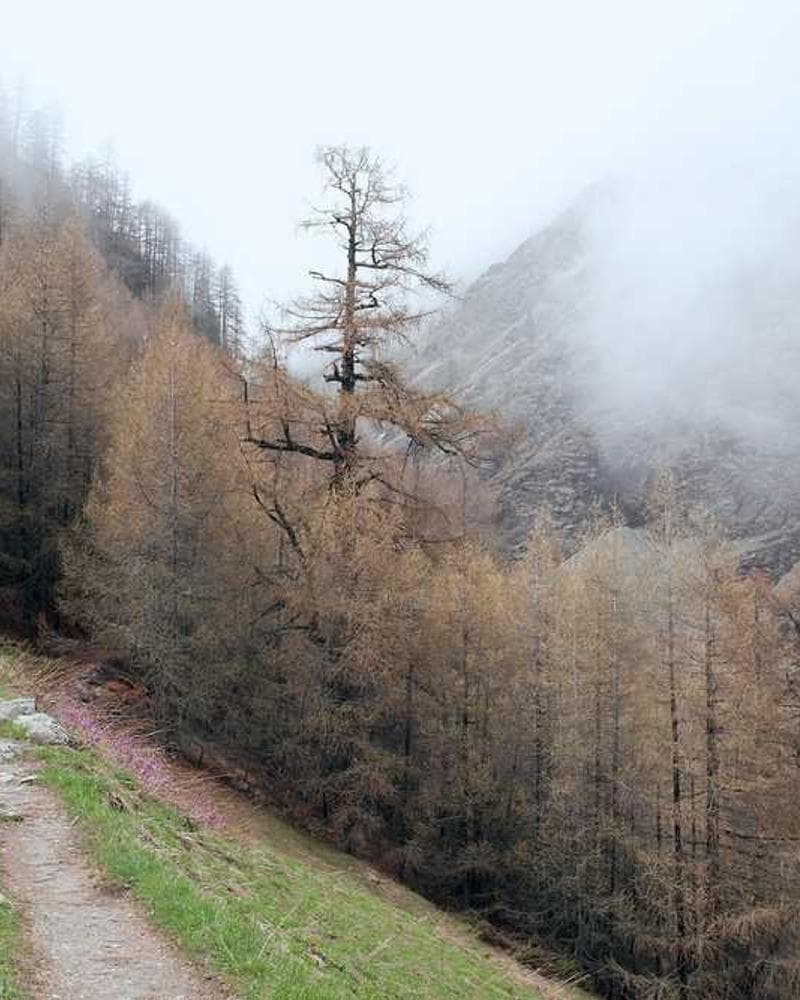 Close up shot of a painter's hands covered in paint
