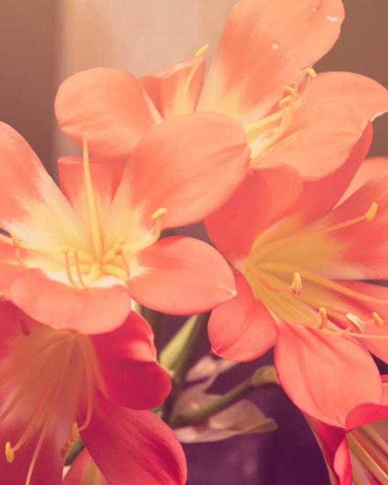 A minimalist sculpture in a stark white room