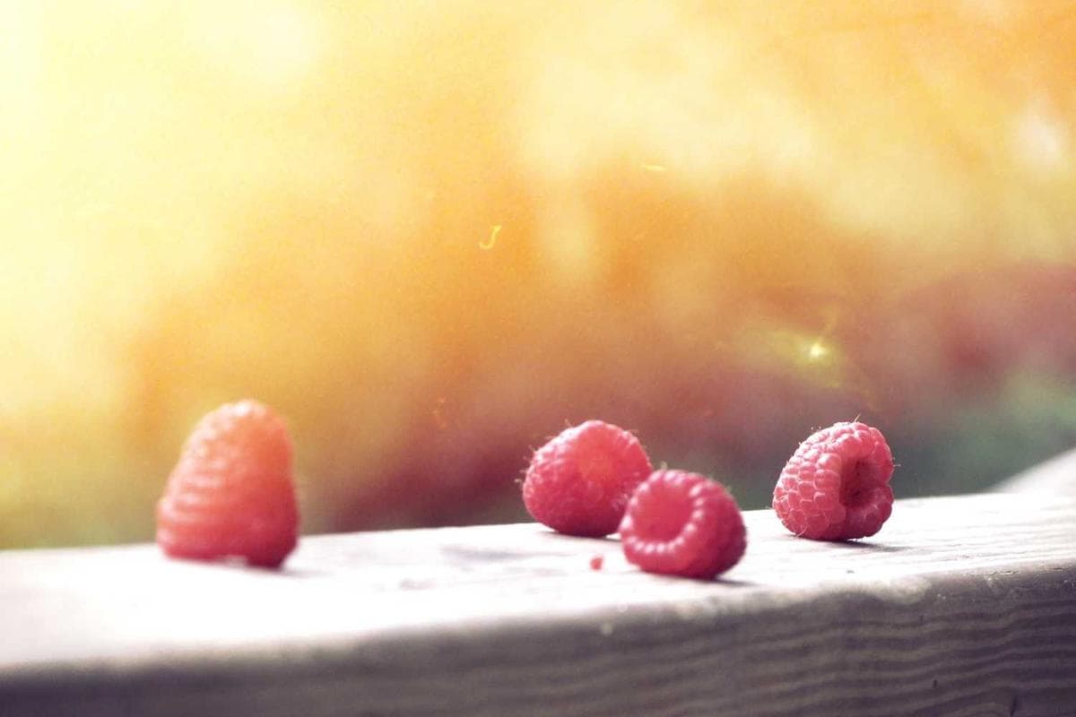 A diverse group of people from different cultures smiling and interacting