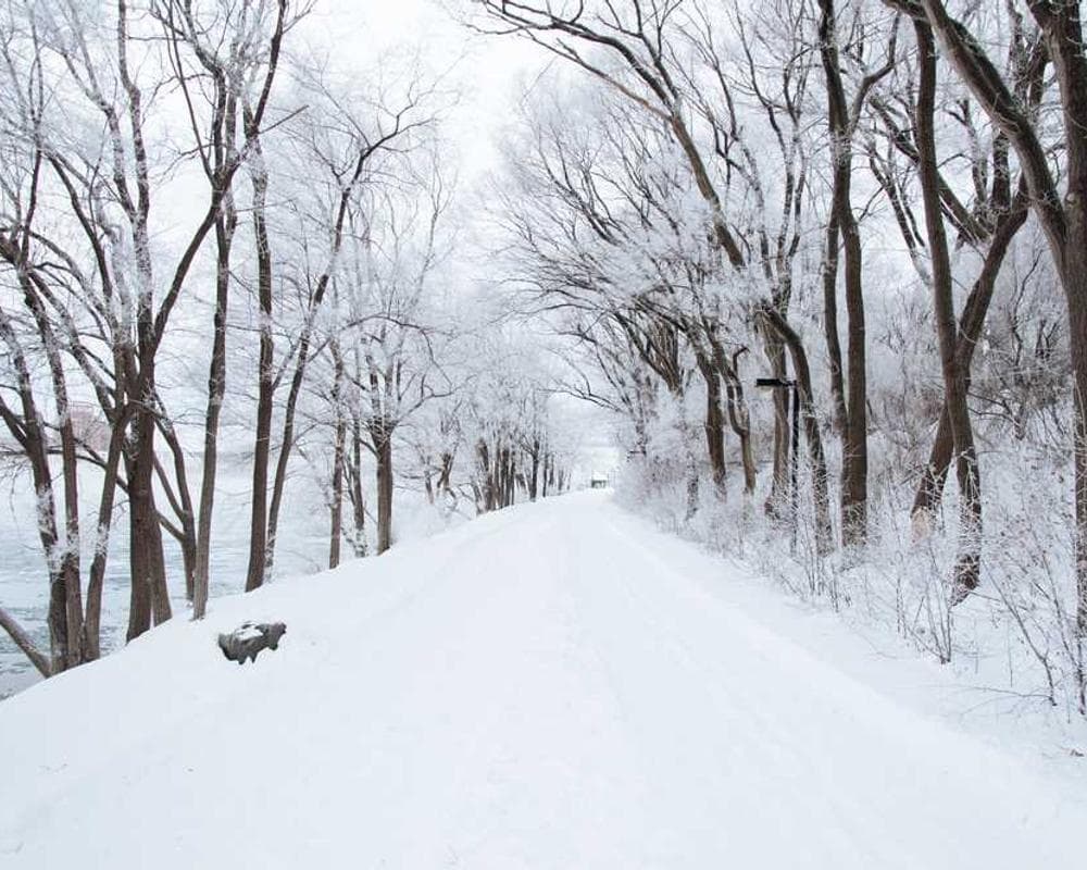 A diagram showing multiple data sources flowing into a central hub