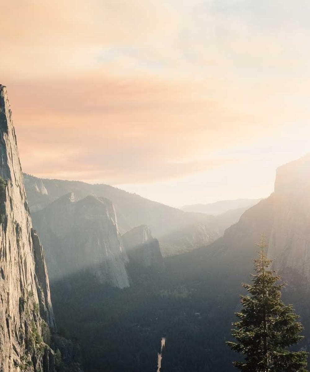 Black and white photo of a person's silhouette against a bright window