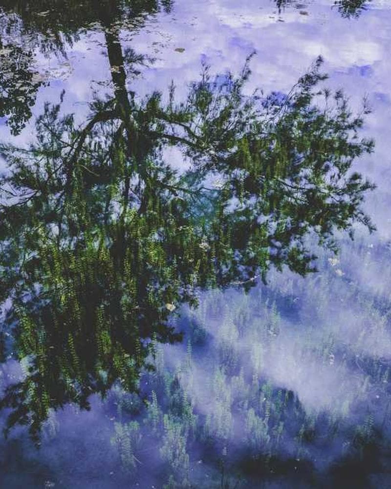 Modern villa overlooking the sea at sunset