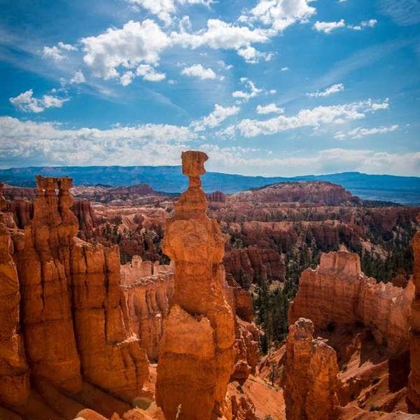 A colorful, bustling street market in Marrakech