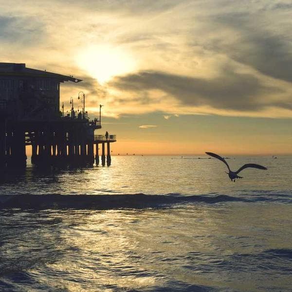 An industrial landscape with smokestacks against a sunset