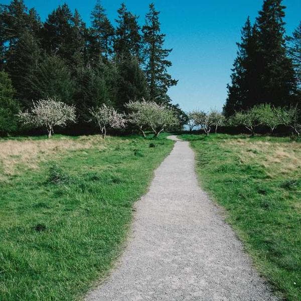 An old, weathered wooden door with intricate carvings
