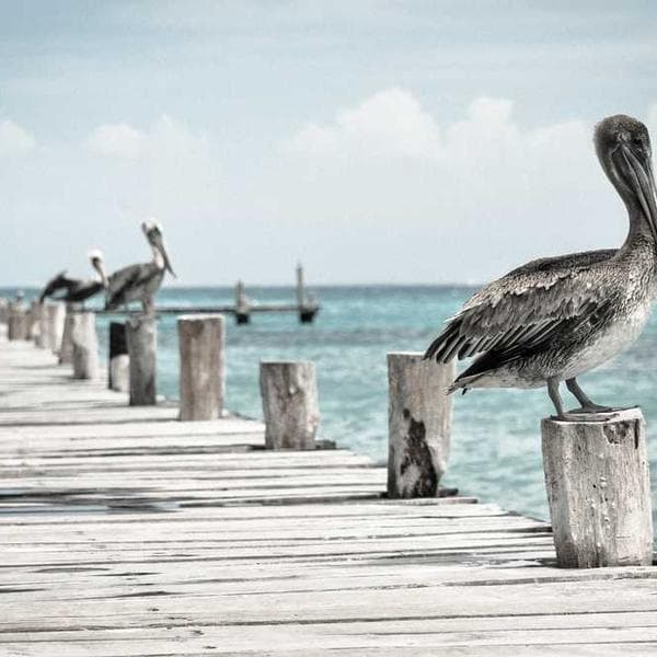 A high-contrast photo of a subway station, with motion blur